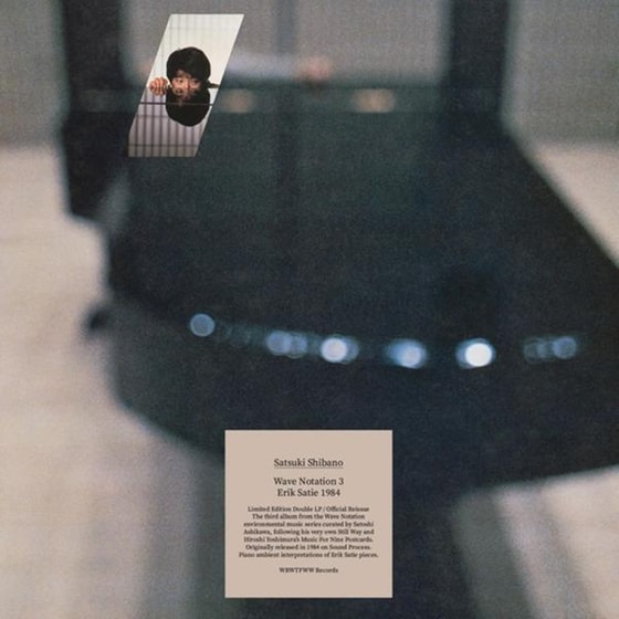 Wave Notation 3: Erik Satie 1984 (2lp) image 0