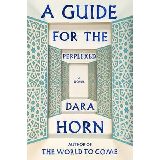 Guide for the Perplexed image 0