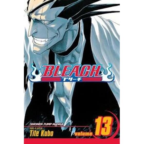 Bleach, Vol. 13 image 0
