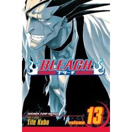 Bleach, Vol. 13