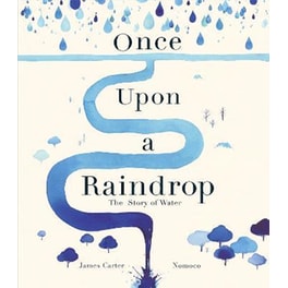 Once Upon a Raindrop