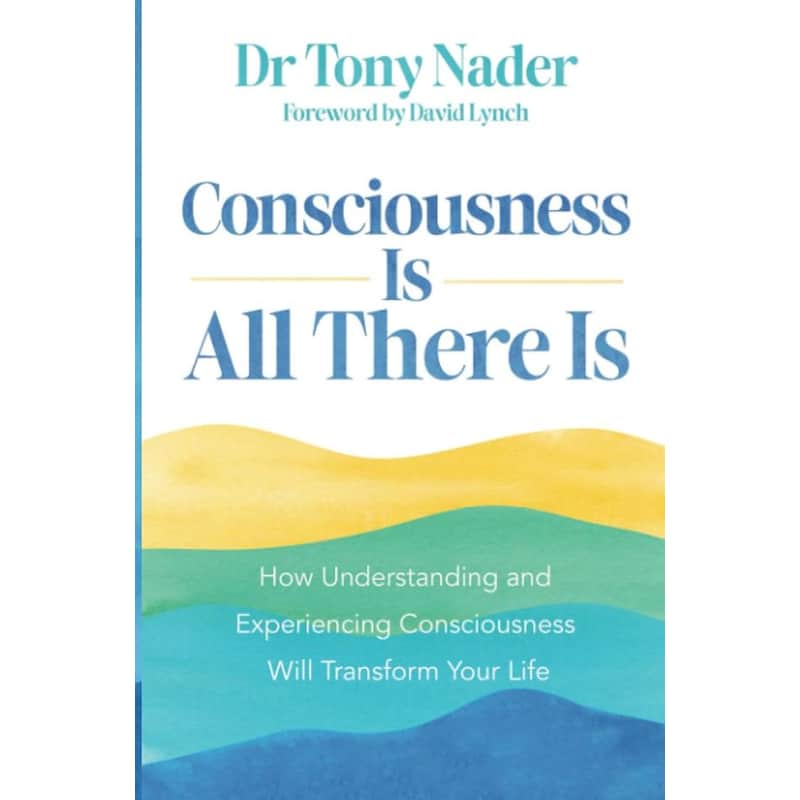Consciousness Is All There Is