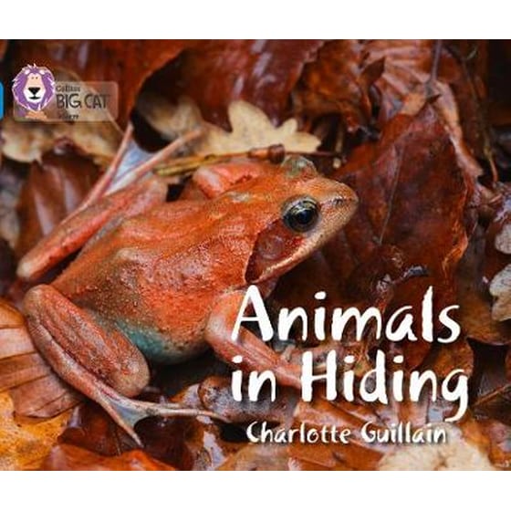 Animals in Hiding Animals in Hiding- Band 04/Blue image 0
