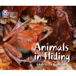 Animals in Hiding Animals in Hiding- Band 04/Blue