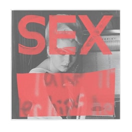 Sex-We Are Not In The Least Afraid Of Ruins