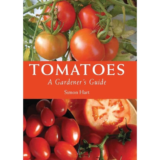 Tomatoes image 0