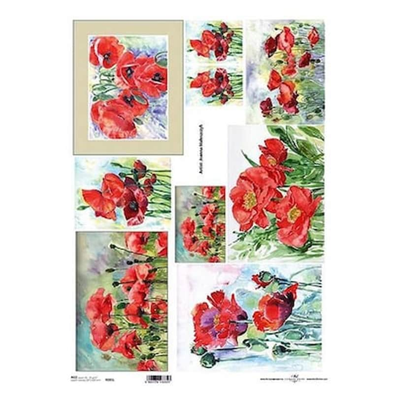 ITD COLLECTION T.JANKOWSKI, W. Ριζόχαρτο poppies 42x29.7εκ. (itd-r085l)