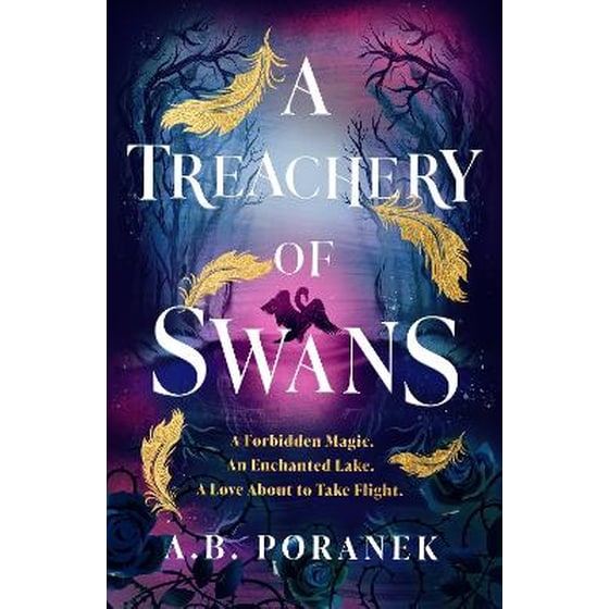 A Treachery of Swans image 0