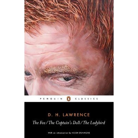 Fox, The Captain's Doll, The Ladybird image 0