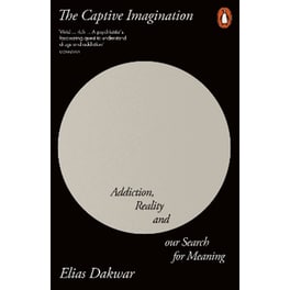 The Captive Imagination