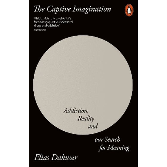 The Captive Imagination image 0