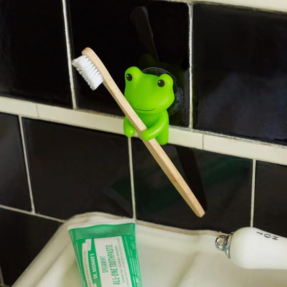 Βάση Οδοντόβουρτσας KIKKERLAND FROG image 1