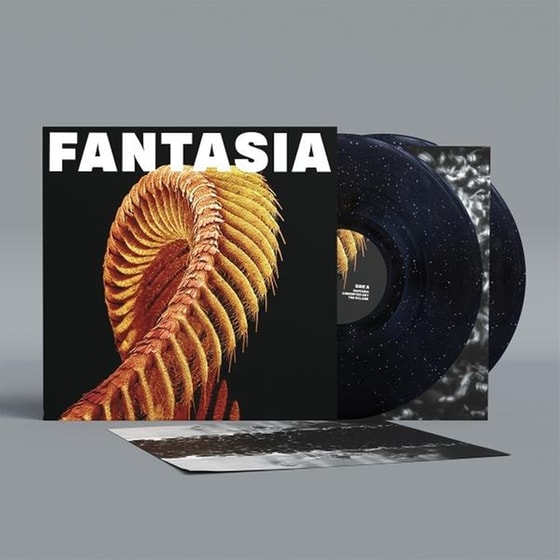Fantasia (LP Coloured) image 0