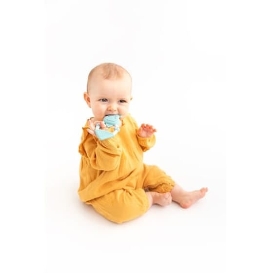 Cheeky Chompers Μασητικό Σιλικόνης Cheeky Tethers Darcy Η Ελεφαντίνα 88566 image 3