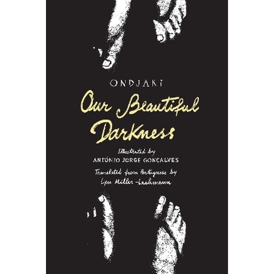 Our Beautiful Darkness image 0