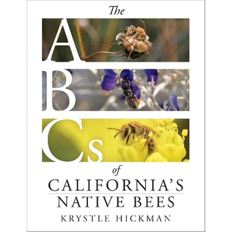 The ABCs of Californias Native Bees