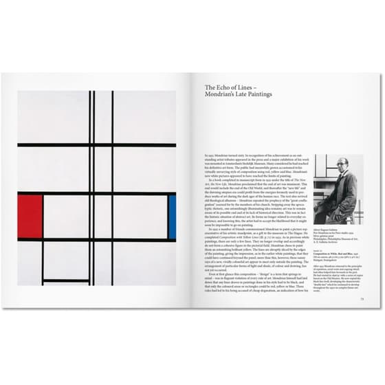 Mondrian image 3