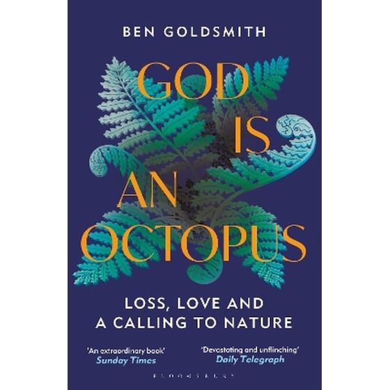 God Is An Octopus image 0