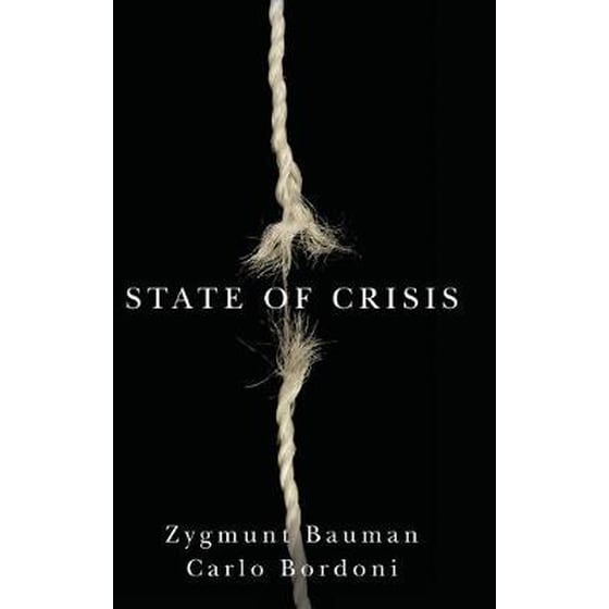 State of Crisis image 0