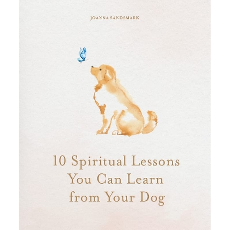 10 Spiritual Lessons You Can Learn from Your Dog