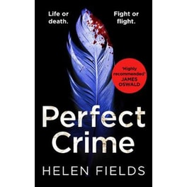 Perfect Crime