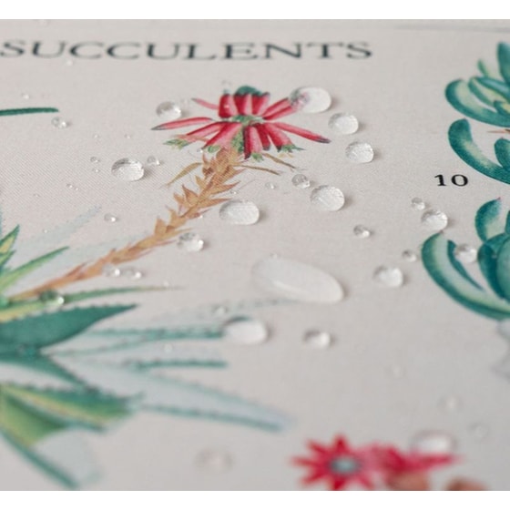 Grupo Erik Botanical Cacti Gaming Mouse Pad XL 800 mm - Με σχέδιο image 1