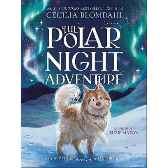 The Polar Night Adventure image 0