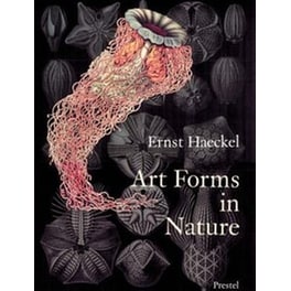 Art Forms in Nature