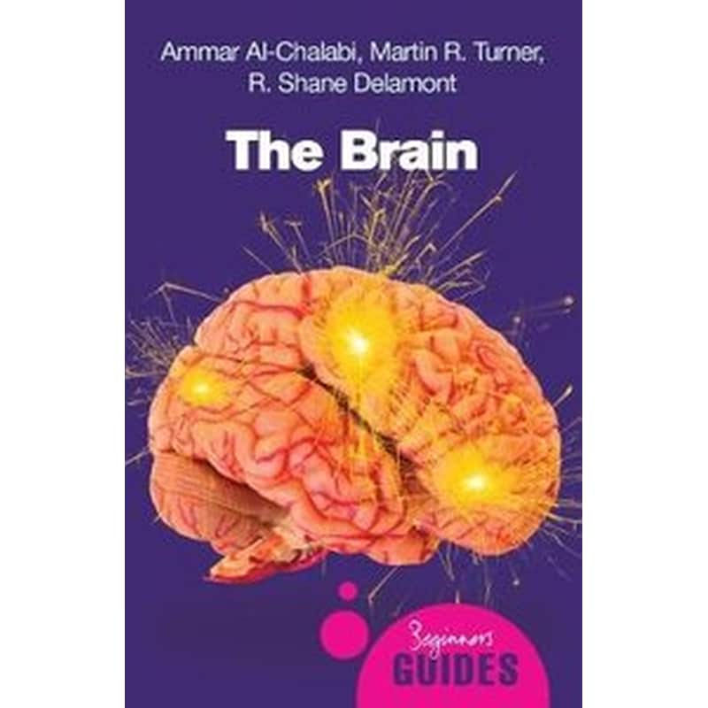The Brain 0447201