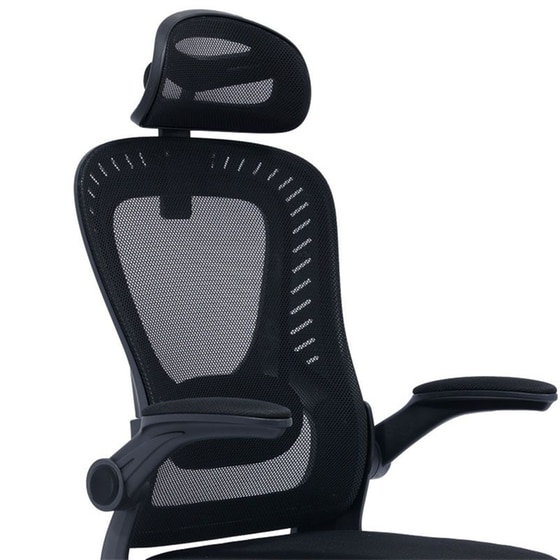 Καρέκλα Γραφείου Διευθυντή Delilah Pakoworld Mesh Μαύρο – 275-000003 image 3