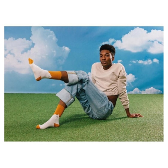 Κάλτσες DOIY Σκύλος image 2