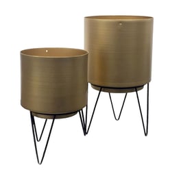 Σετ Κασπώ με Βάση Home Deco Factory 2 τμχ  - Χρυσά
