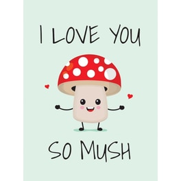 I Love You So Mush