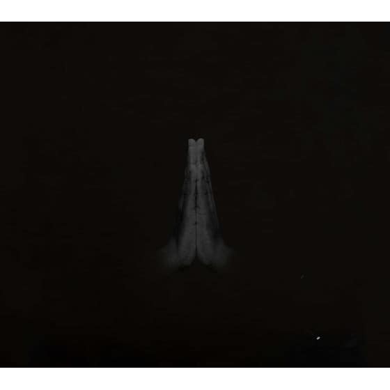 Untitled (Rise) Lp image 0