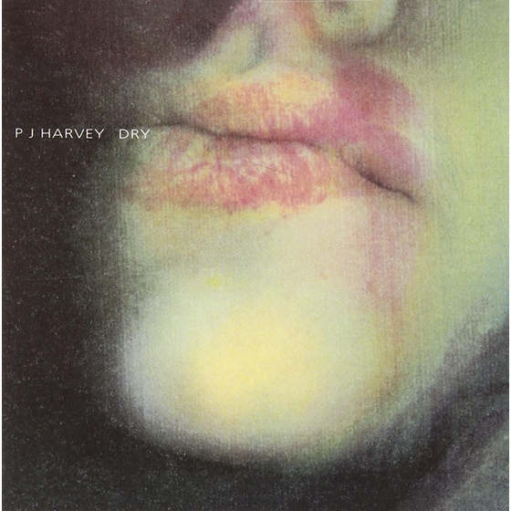 Dry image 0