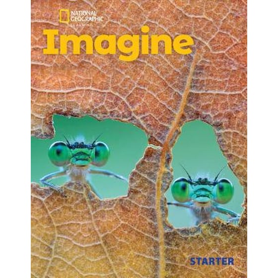 Imagine Starter with the Spark platform (BRE) image 0