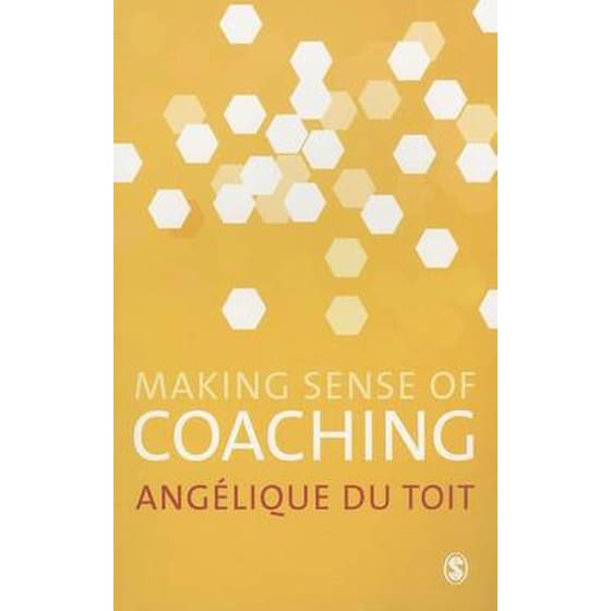 Making Sense of Coaching image 0