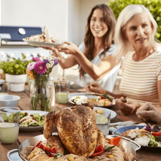 WEBER Crafted Gourmet BBQ System 8838 Ασημί Στήριγμα Κοτόπουλου image 6