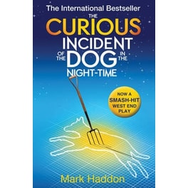 The Curious Incident of the Dog In the Night-time