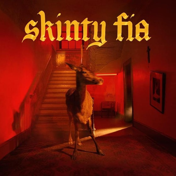 Skinty Fia image 1