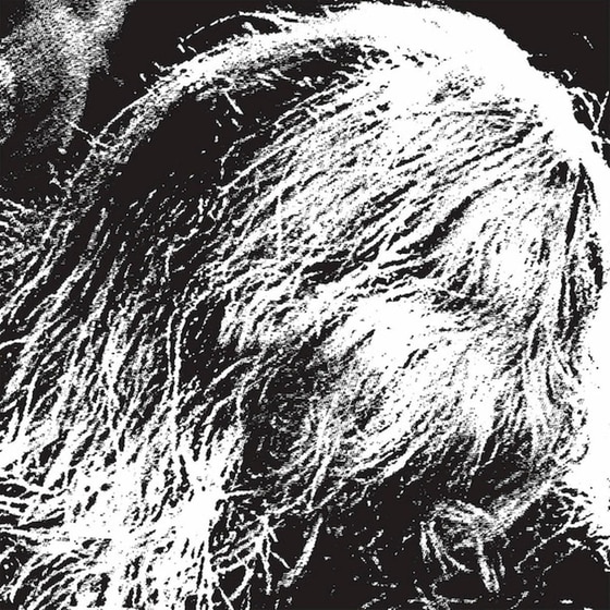 Spectral Life (LP) image 0