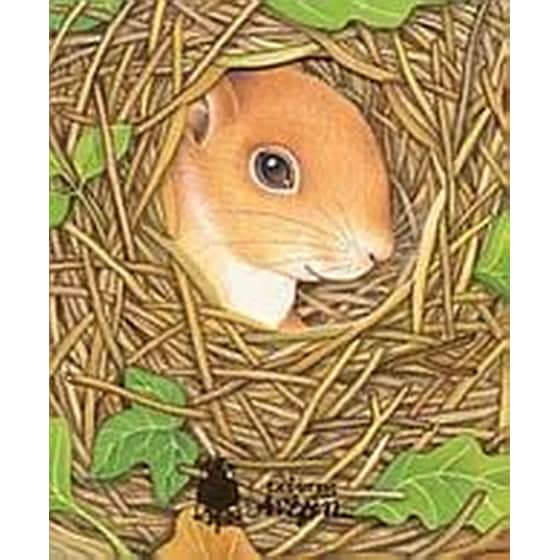 Το σπιτάκι του σκίουρου image 0