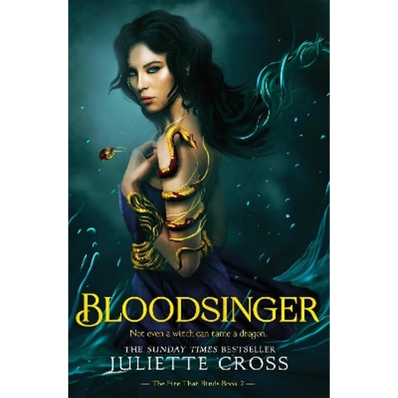 Bloodsinger image 0