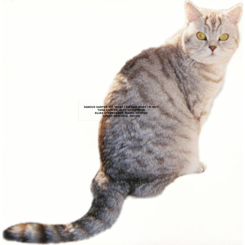 What I Am And What Im Not