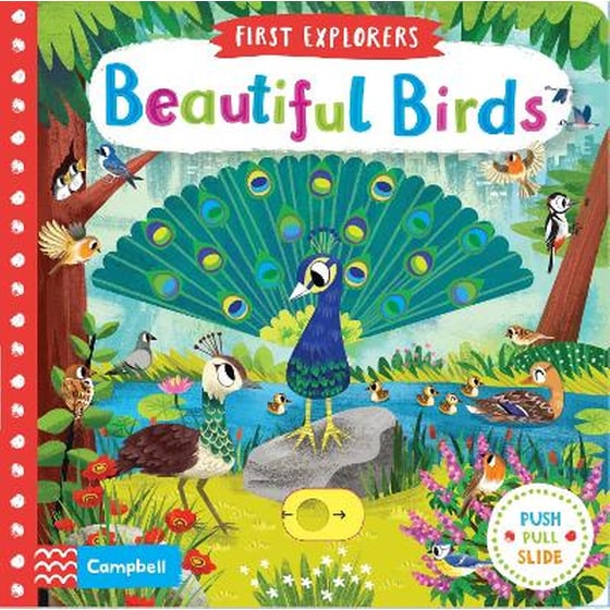 Beautiful Birds image 0