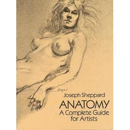 Anatomy