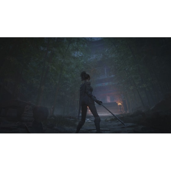 WUCHANG: Fallen Feathers  D1 Edition - PS5 image 4