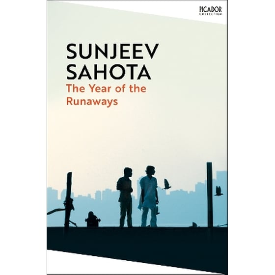 The Year of the Runaways image 0