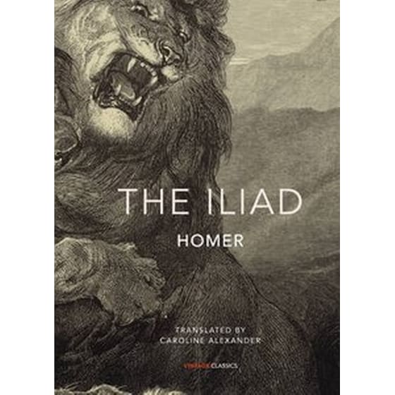 The Iliad image 0