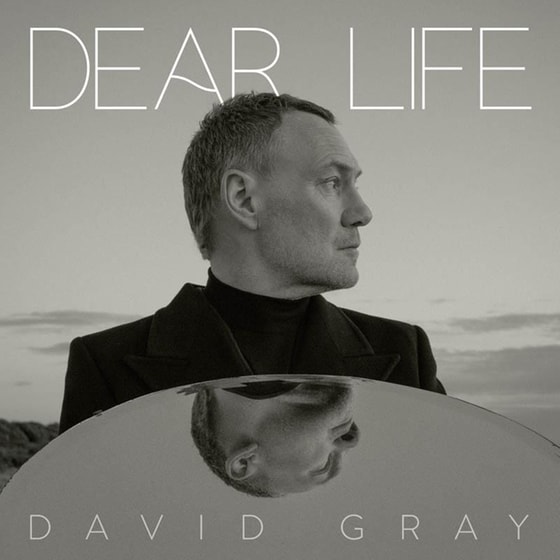 Dear Life (2LP) image 1